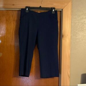 Kim Rogers Navy Capris